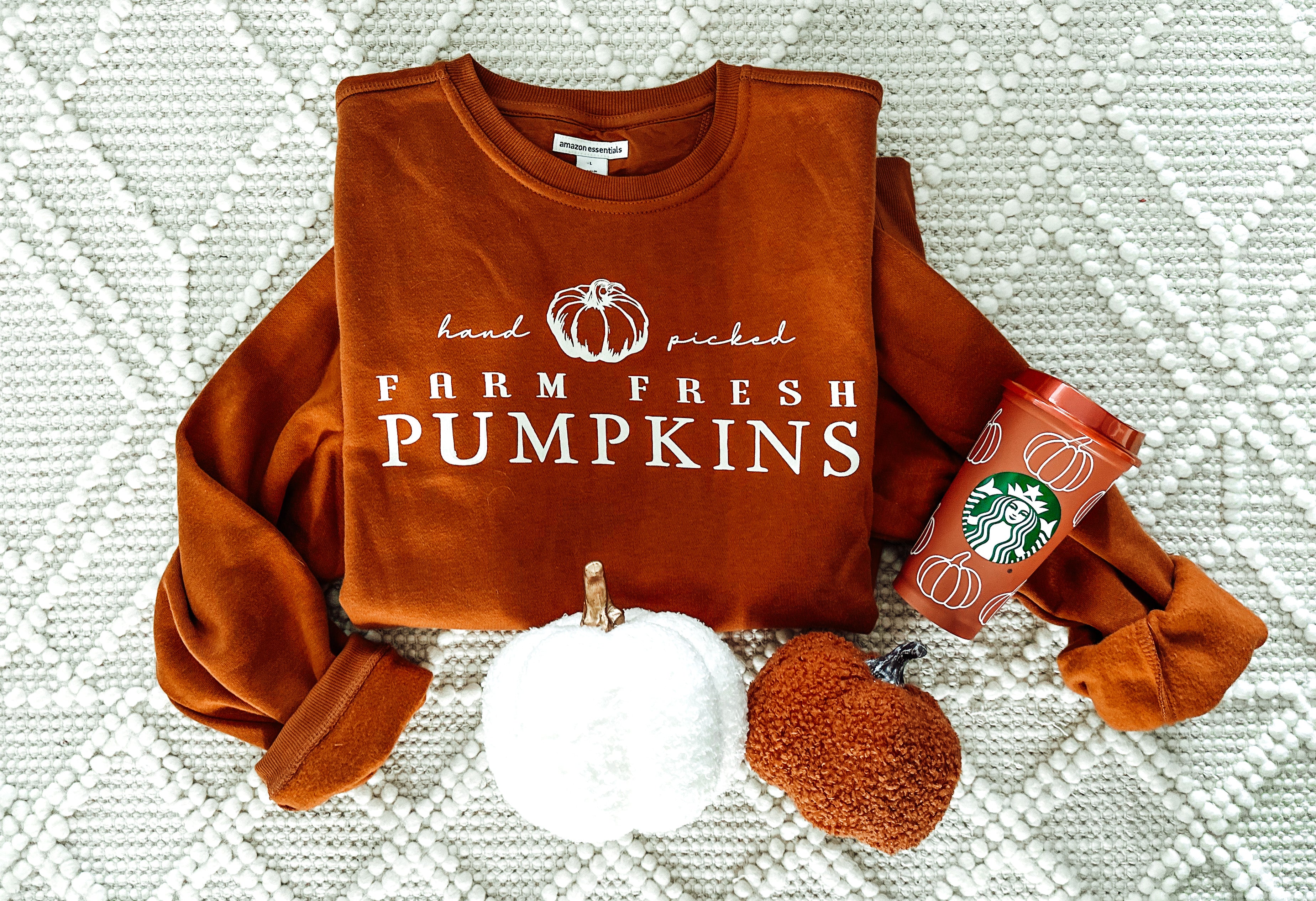 Hand Picked Farm Fresh Pumpkins Burnt Orange Crewneck
