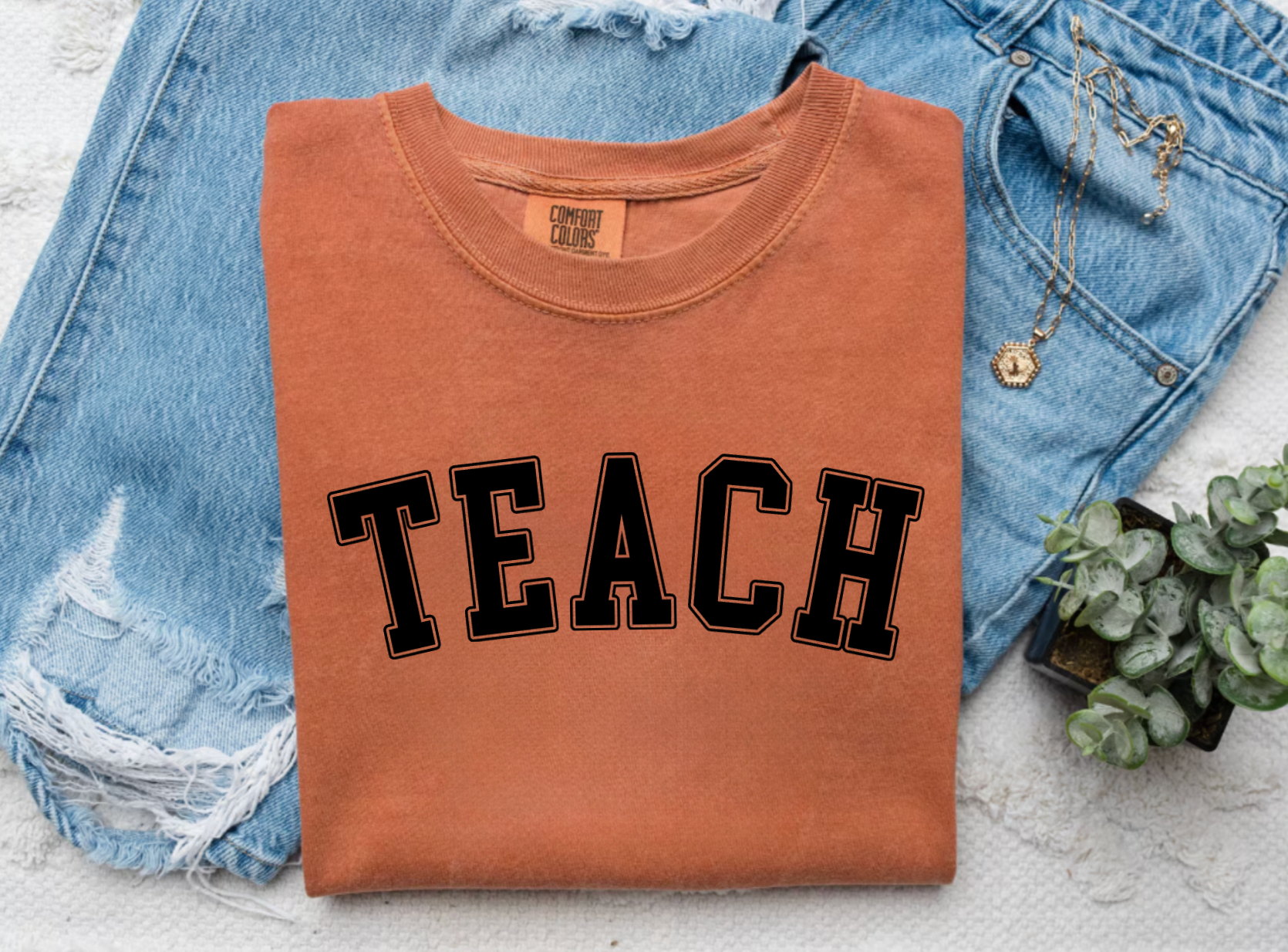 Fall Burnt Orange Comfort Colors Teach Shirt for Teachers