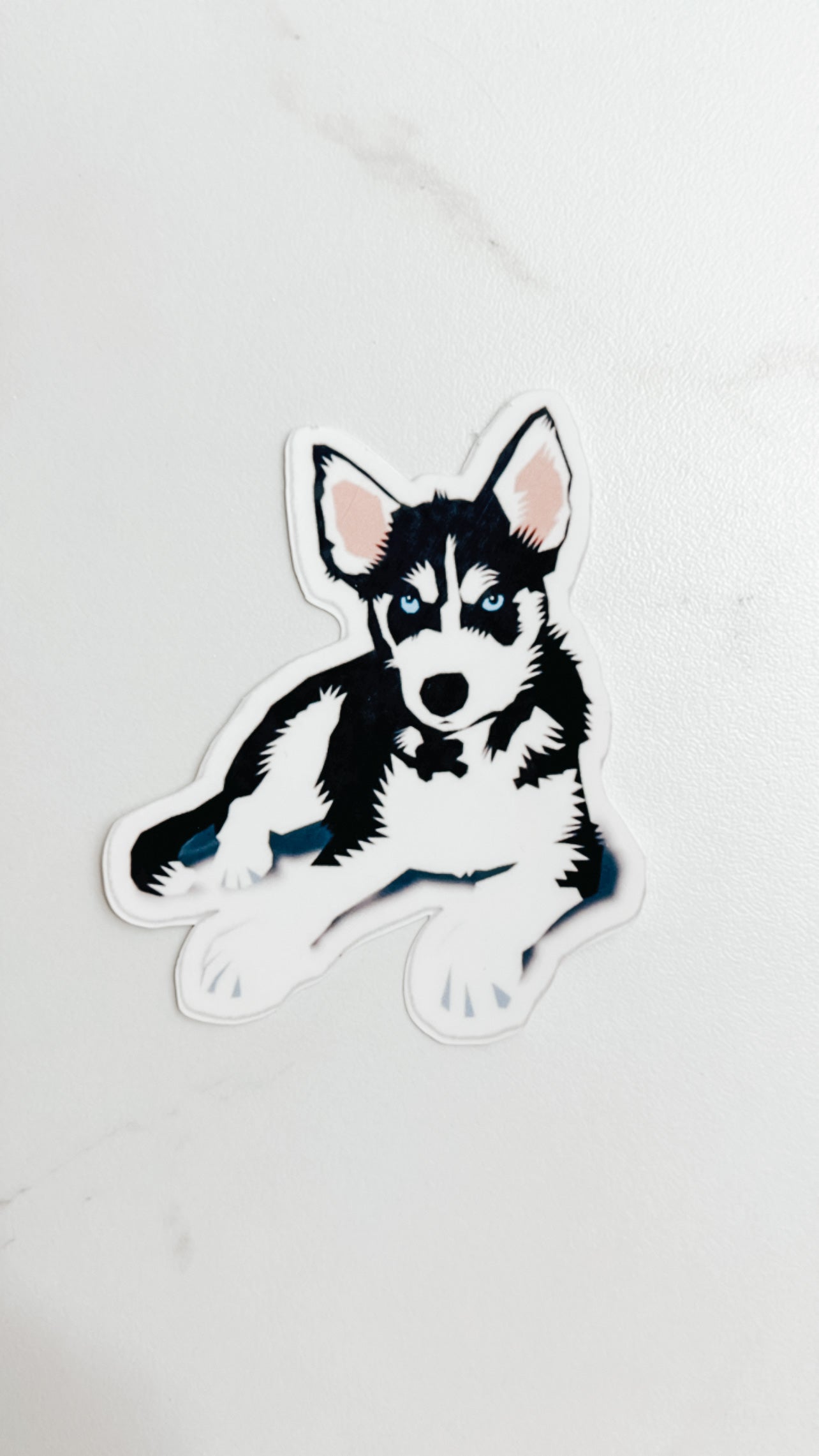 Husky Sticker