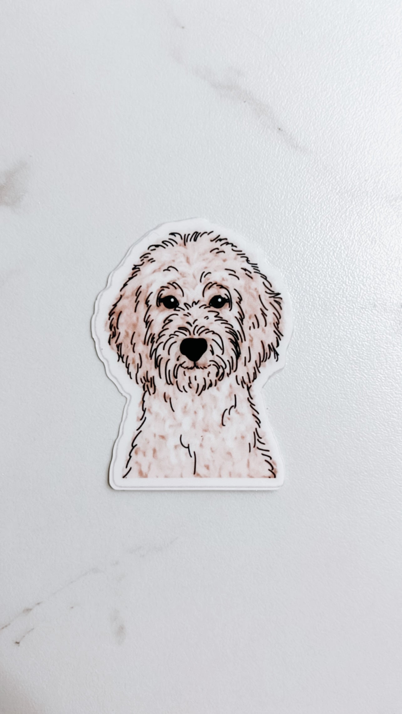 Golden Doodle Sticker