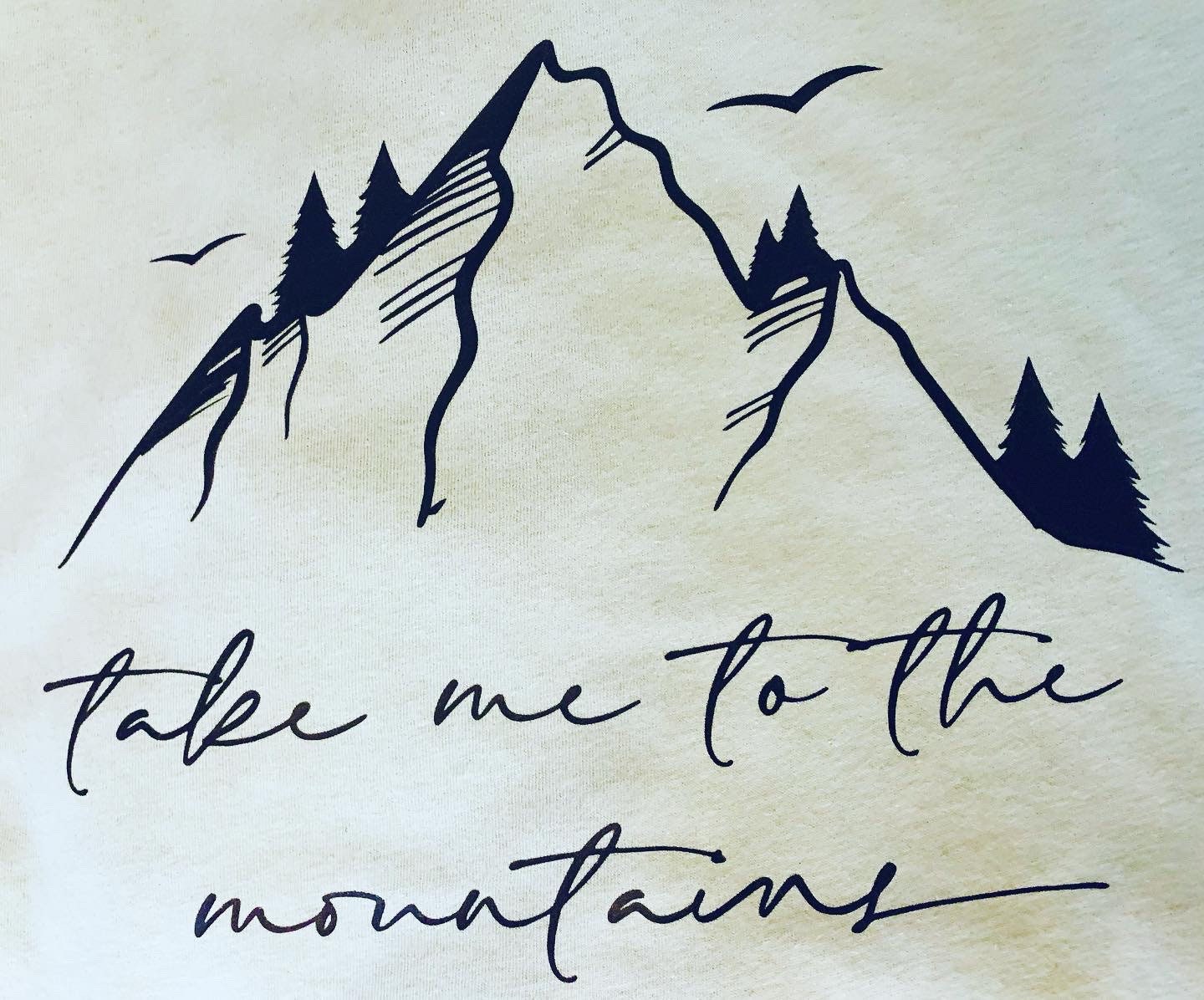 Take Me To the Mountains Light Blue Tee